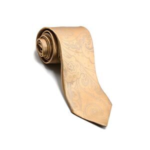 Castangia Paisley Silk Tie